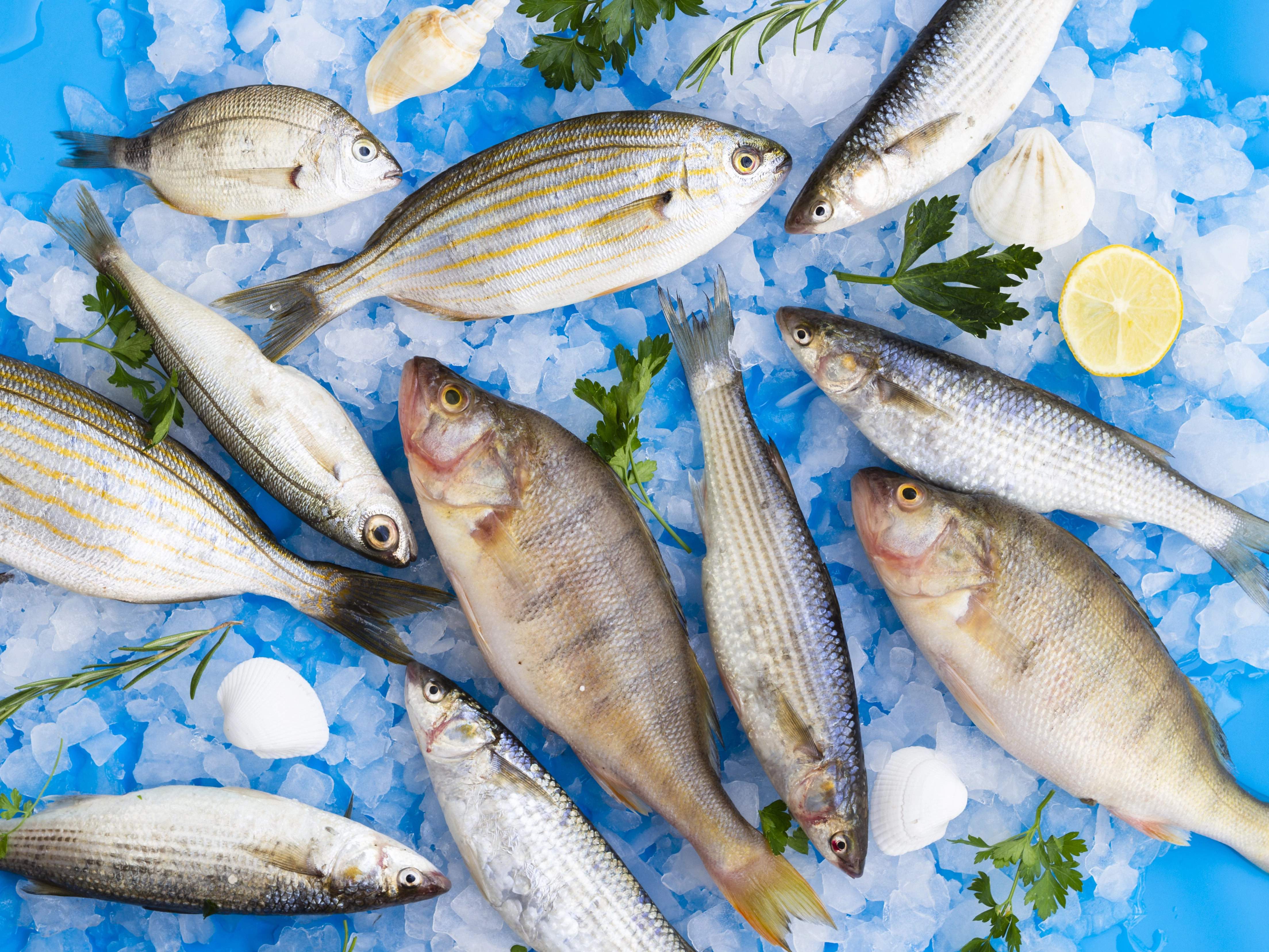 Poissons frais africains